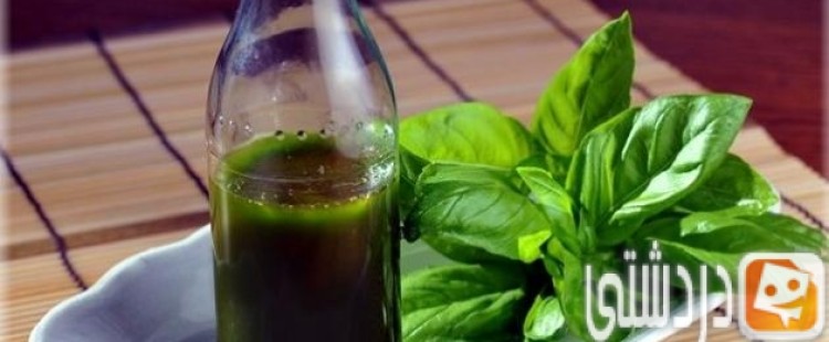 فوائد نبتة الريحان وزيتها العلاجية والجمالية.