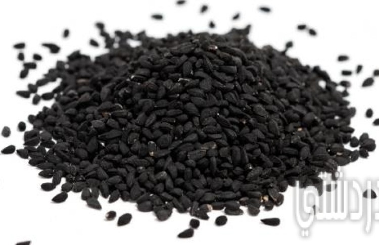 فوائد حبة البركة