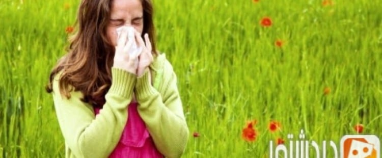 العلاقه بين الأمراض وفصل الربيع