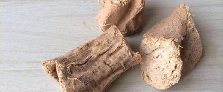 فوائد القسط الهندي للبشرة والشعر