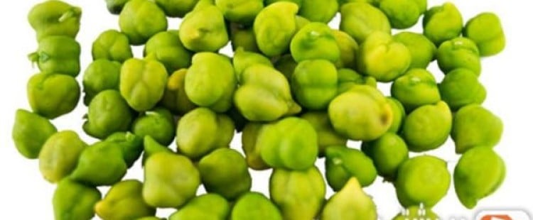 فوائد الحمص الأخضر وأضراره