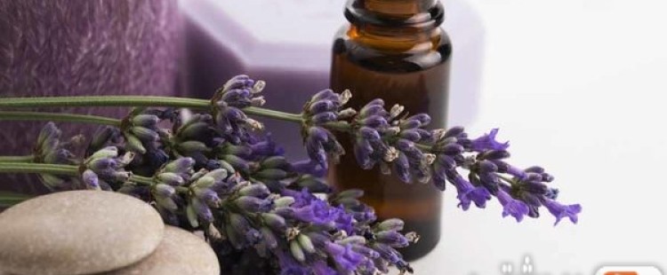فوائد زيت اللافندر للبشرة