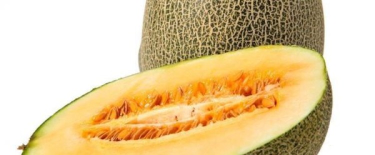 فوائد فاكهة الشمام للمرأة الحامل والجنين