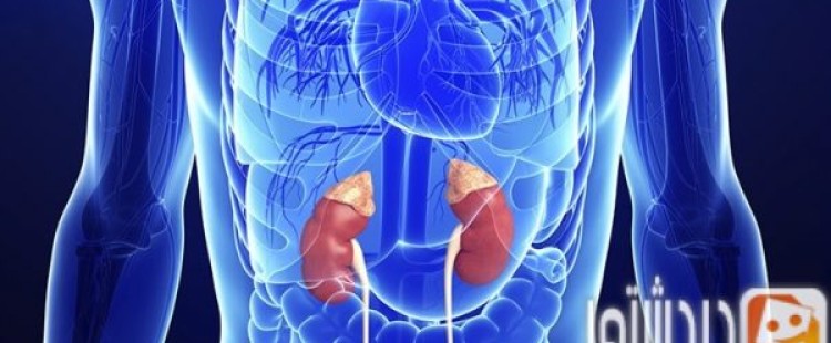 أسباب قصور الغدة الكظرية وأعراضها وطرق علاجها