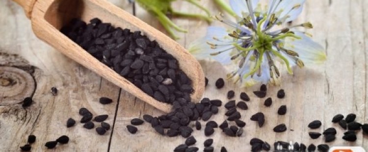 أضرار الحبة السوداء علي جسم الإنسان