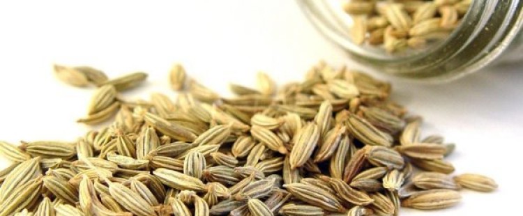 فوائد الشمر الصحية علي جسم الإنسان