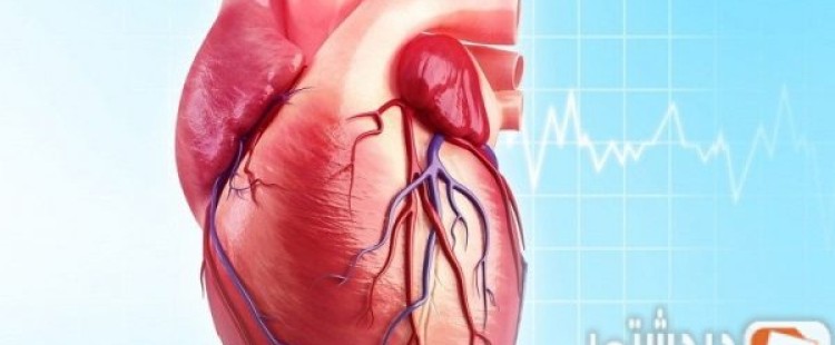 ما هي أعراض ضعف عضلة القلب