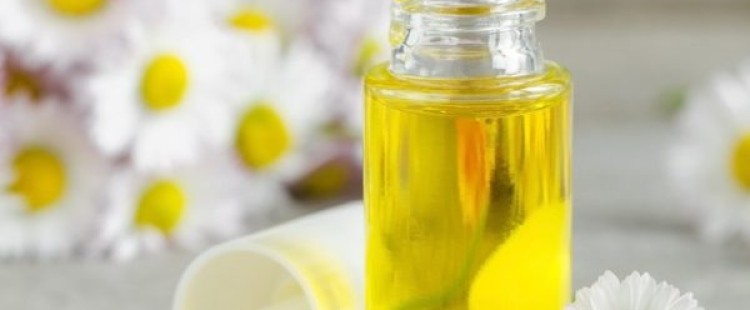 فوائد زيت البابونج للبشرة والشعر