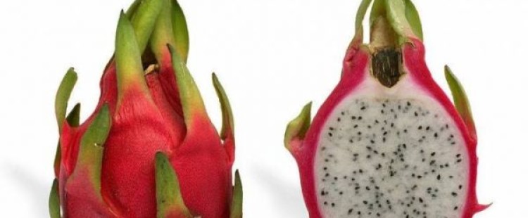 فوائد فاكهة التنين للجسم
