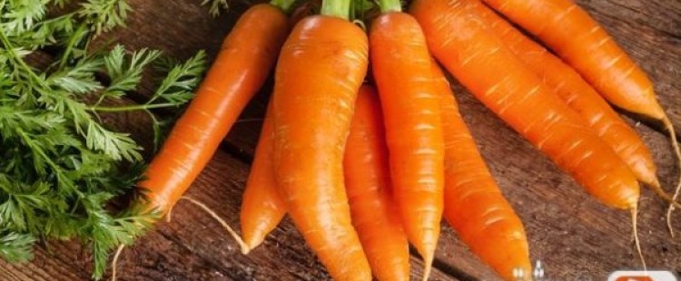 فوائد تناول الجزر علي صحة الإنسان