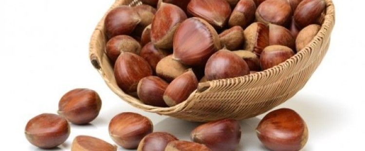 فوائد الكستناء الصحية