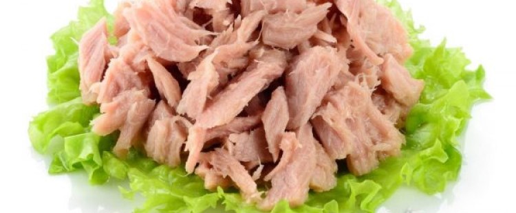 فوائد سمك التونة المعلب لجسم الإنسان