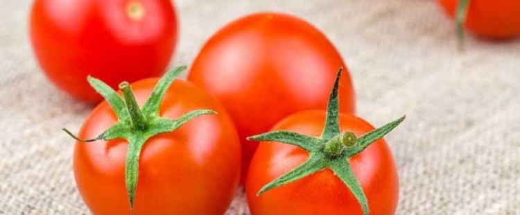 ماهي طريقة تخزين الطماطم