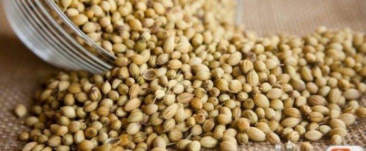 ماهو المحلب وما هي فوائده للجسم