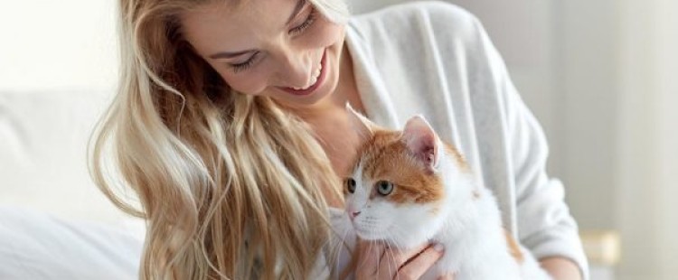 ماهي حساسية القطط وأعراضها