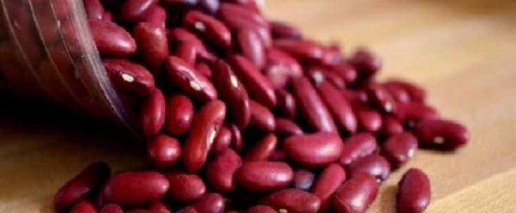 الفوائد الصحية للفاصوليا الحمراء