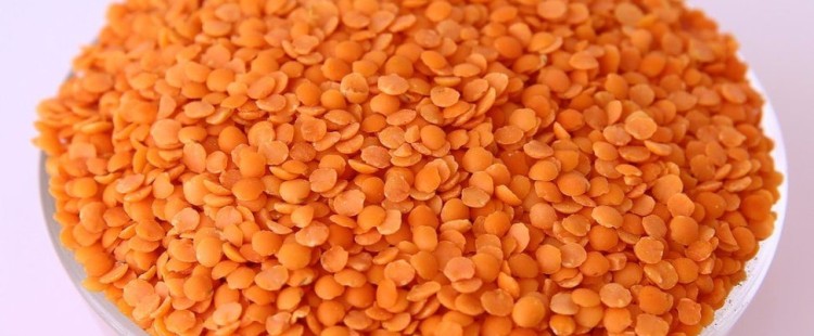 ما هي الفوائد الصحية للعدس