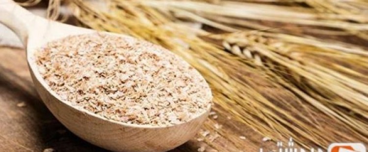 فوائد جرثومة القمح لجسم الإنسان
