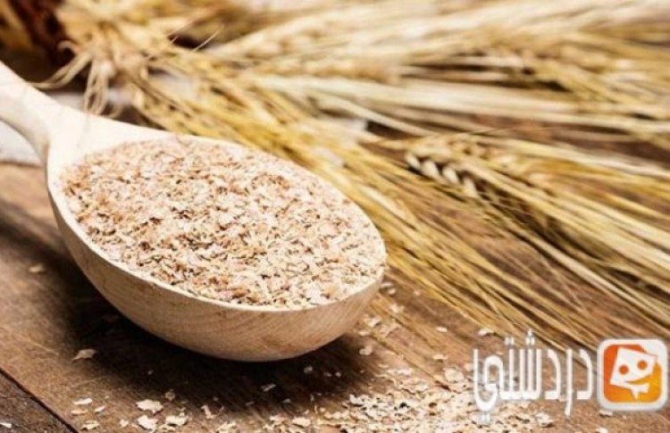 فوائد جرثومة القمح لجسم الإنسان