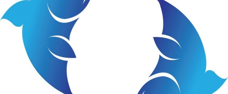 توقعات ماغي فرح 2019 برج الحوت