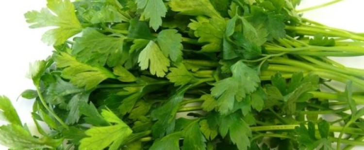 فوائد البقدونس الصحية والجمالية