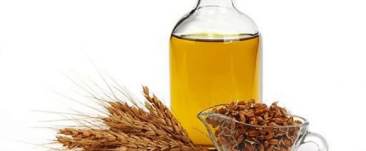 فوائد زيت جنين القمح الصحية
