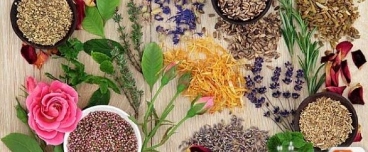 أعشاب تحارب مرض السرطان