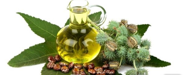 طرق استخدام زيت الخروع للشعر