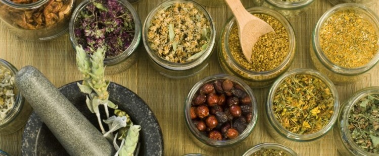 علاج العقم بالأعشاب عند الرجال والنساء