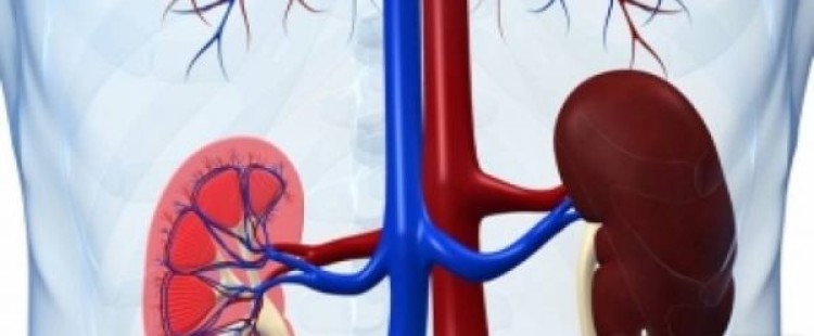 أعراض الفشل الكلوي وأنواعه