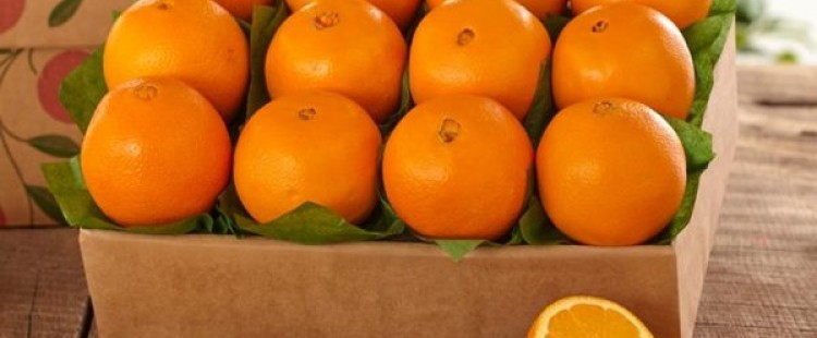 طرق تخزين وحفظ البرتقال