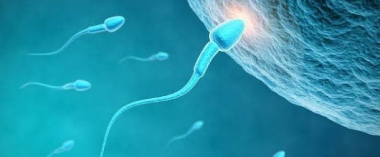 أسباب قلة الحيوانات المنوية وعلاجها