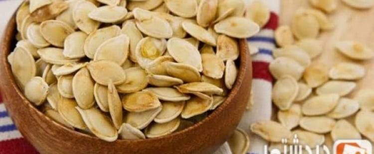 فوائد الفصفص وأضراره على صحة الجسم