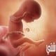 ما هي أسباب الضائقة الجنينية
