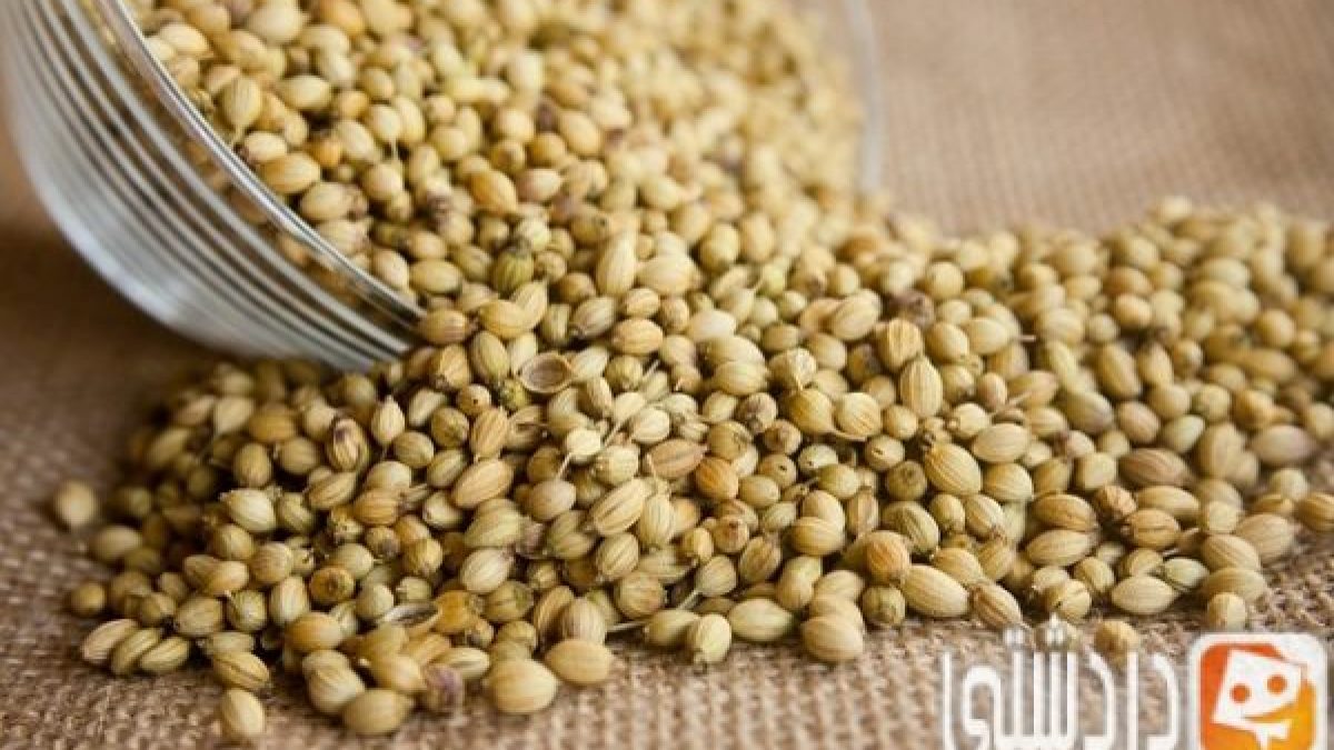 ماهو المحلب وما هي فوائده للجسم ماهو المحلب وما هي فوائده للجسم